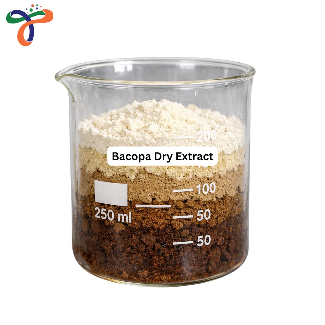 Bacopa Dry Extract